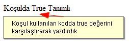 Değişken Tanımlamaları, Operat&ouml;rler