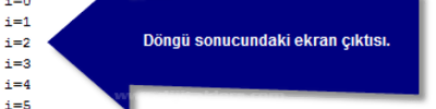 While,do While,for,for- Break Kullanımı Ve Aralarındaki Farklar