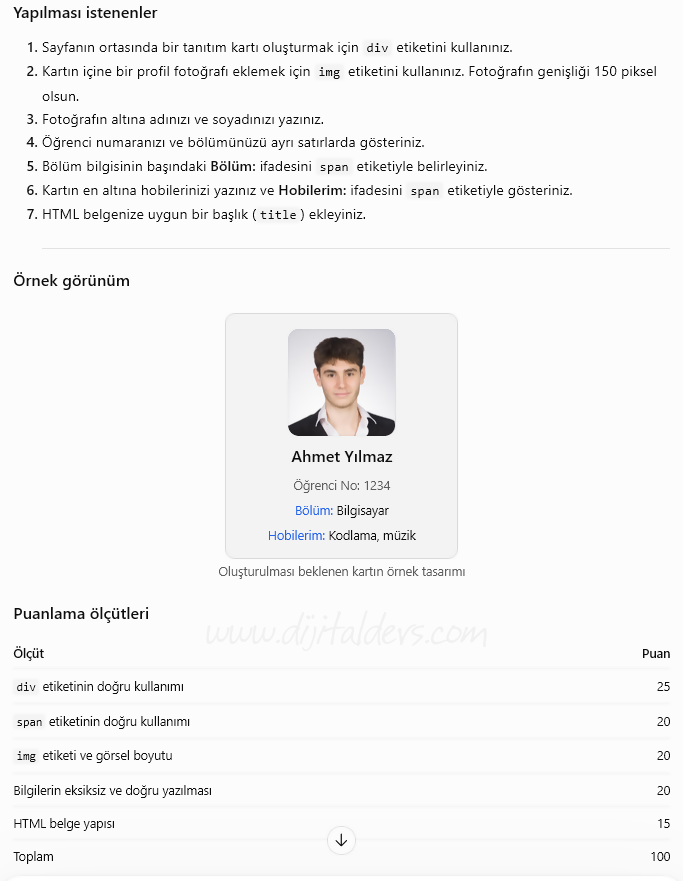 DIV Tagı Nedir?